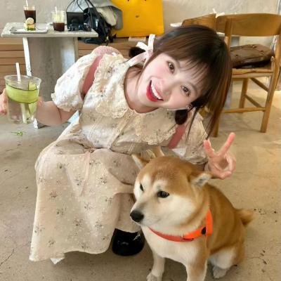 铁面无私
